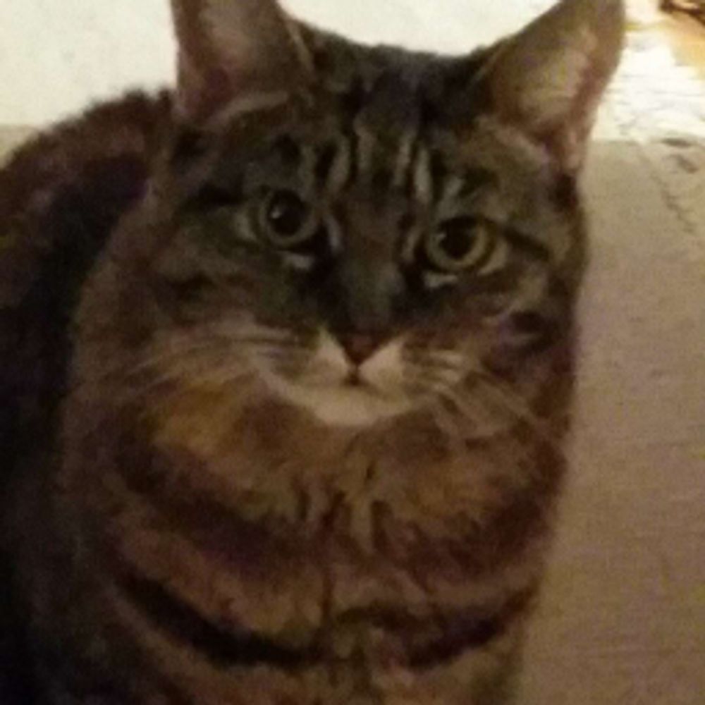 Kira