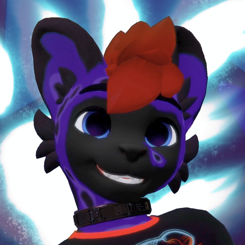 Midnight Nova