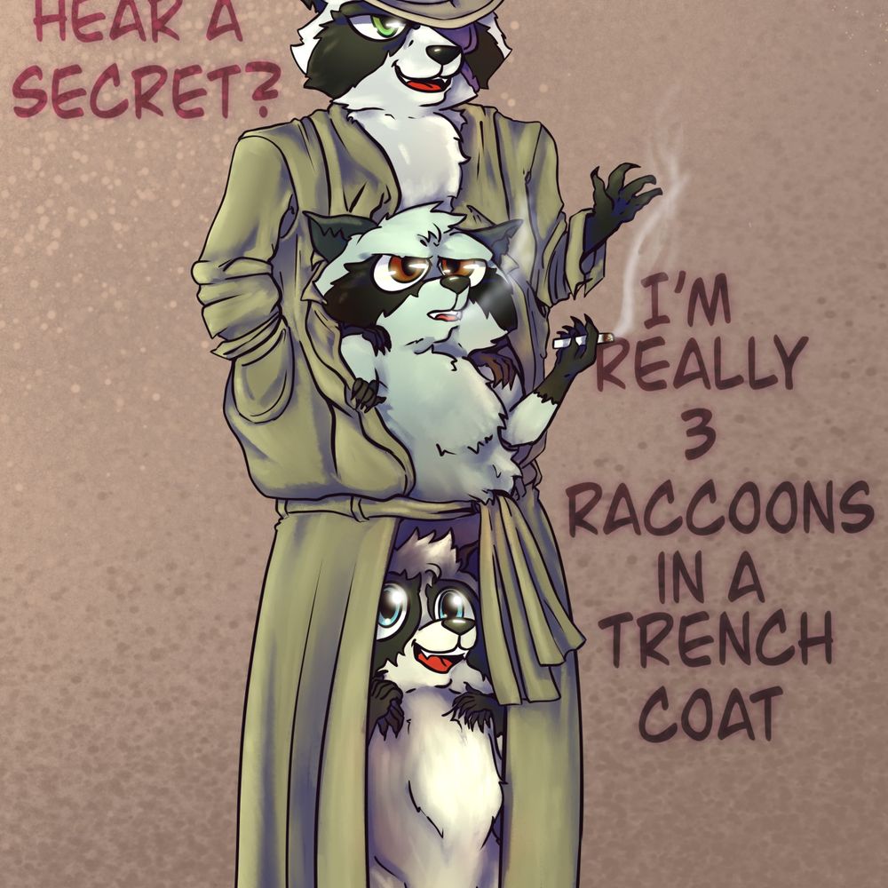 Not a Raccoon