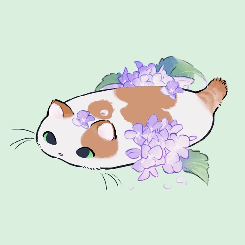 みはぎ