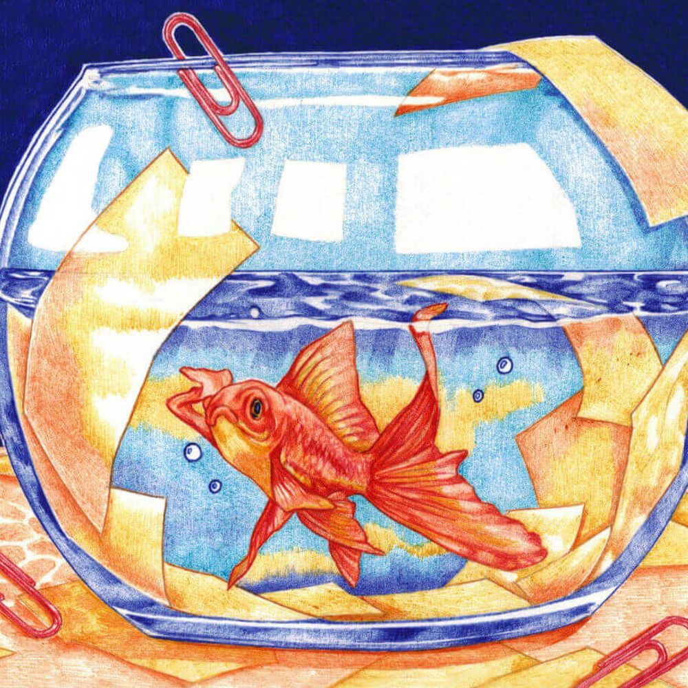 Itziar Barrios Illustration