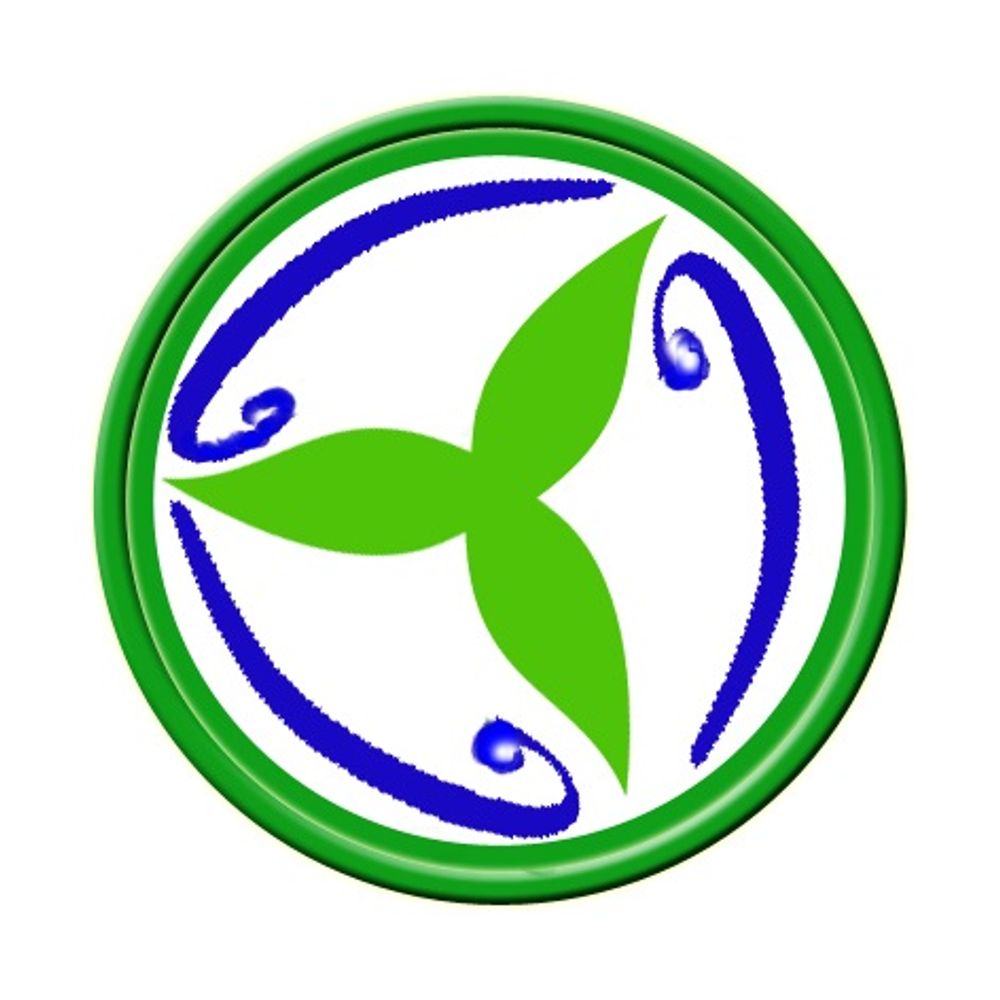 Distributed Energy Storage Ltd.