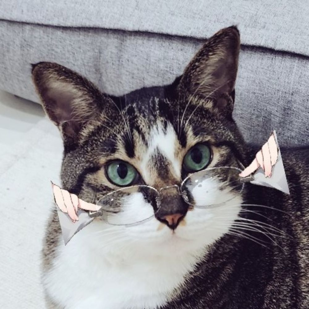 청