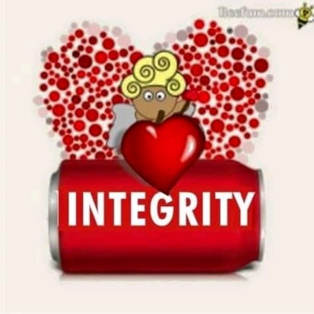 Integrity Dev