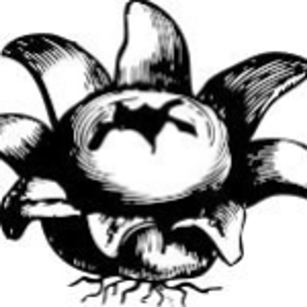 Stelliform Press