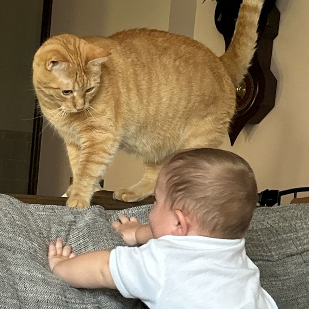 Orange boys and baby