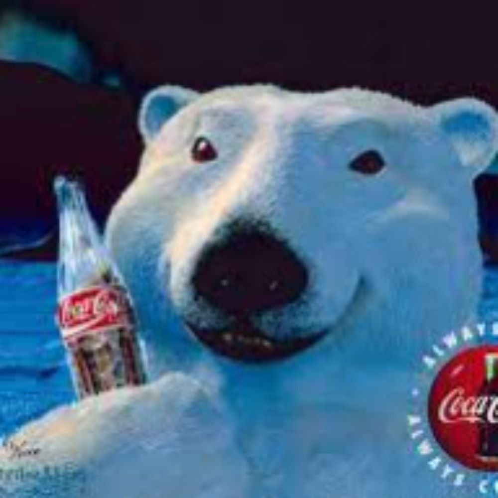 Coke Bear