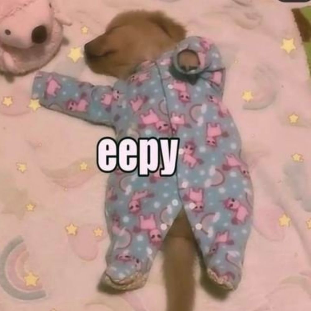 Cubby!!🐕🦴🍼🐾🧸