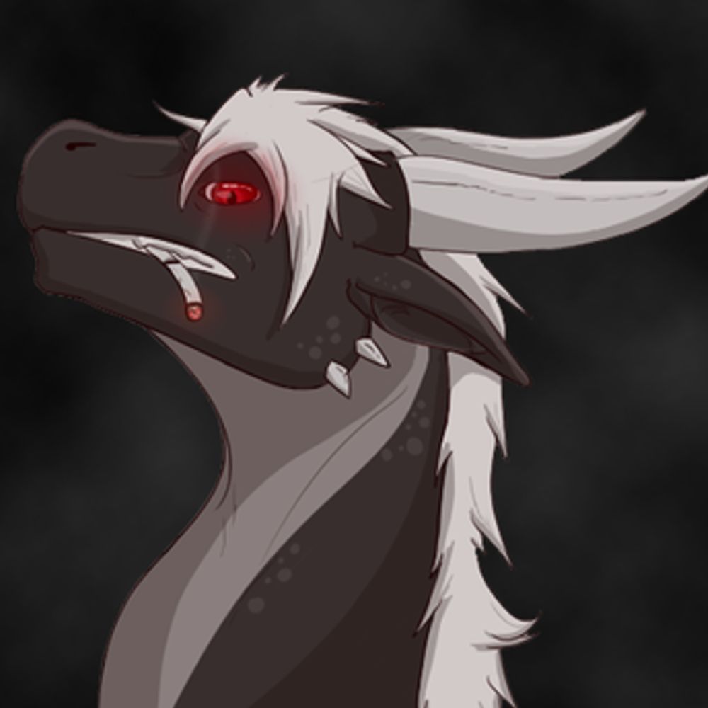 TheDropOutDragon
