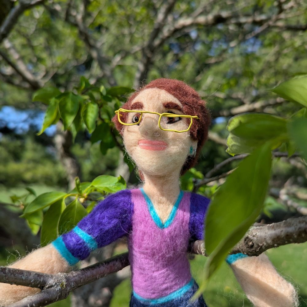 Emily's Needle Felts