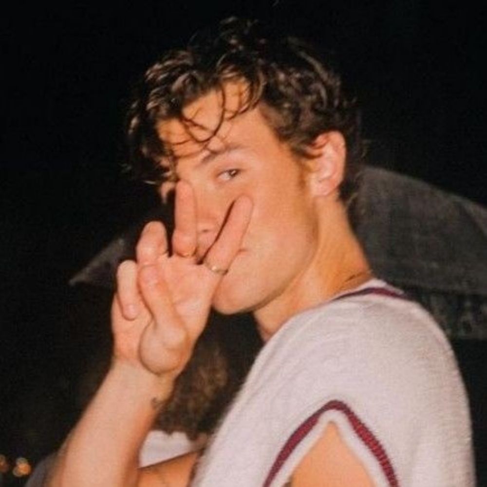nick luvs shawn mendes