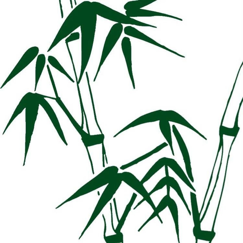 Bamboo Mini