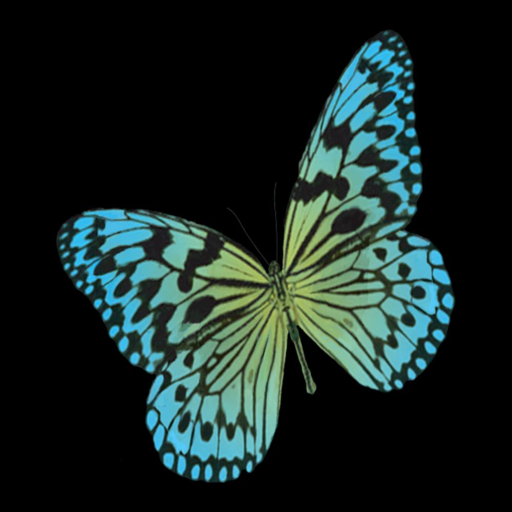 CADDRA - Canadian ADHD Resource Alliance