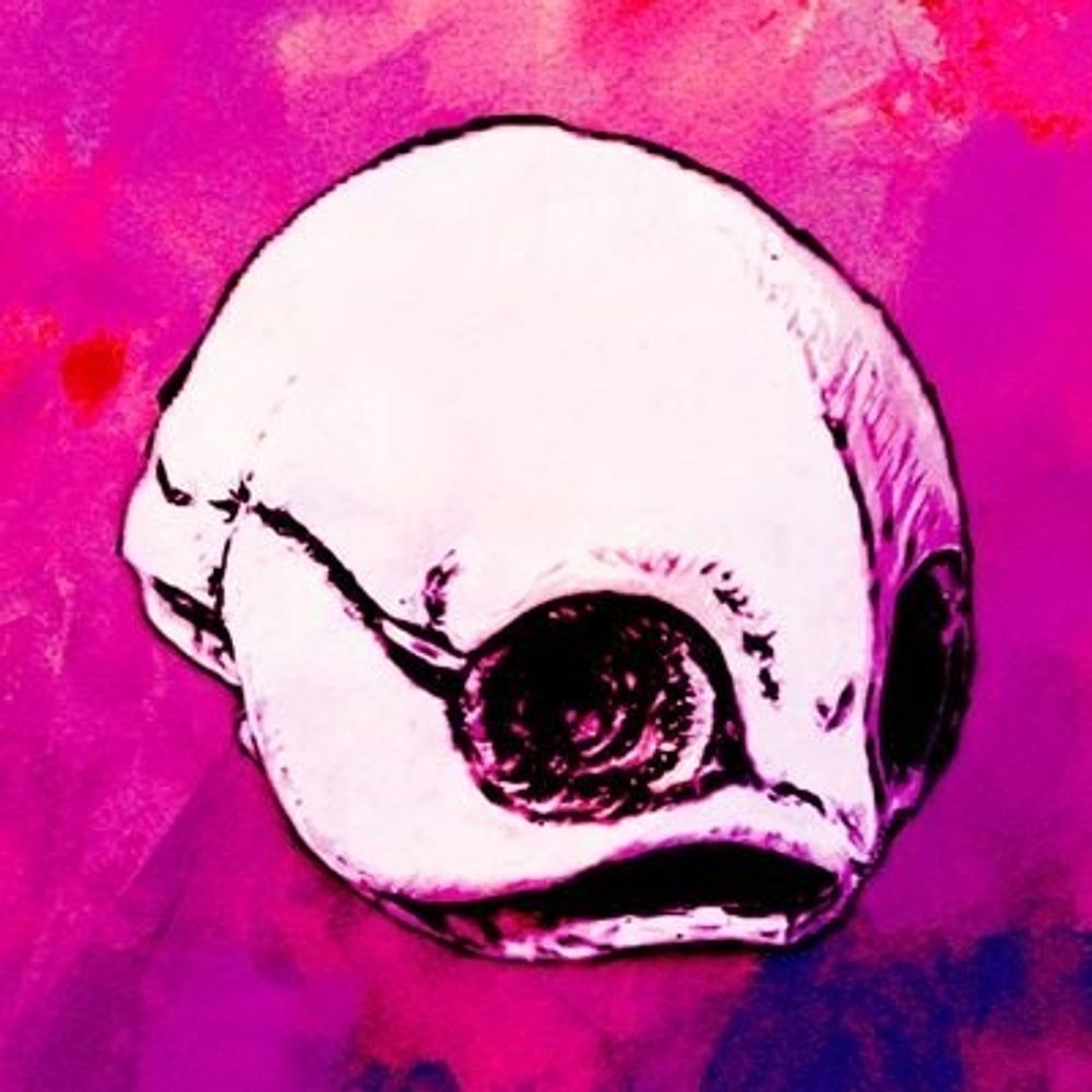 黒狛