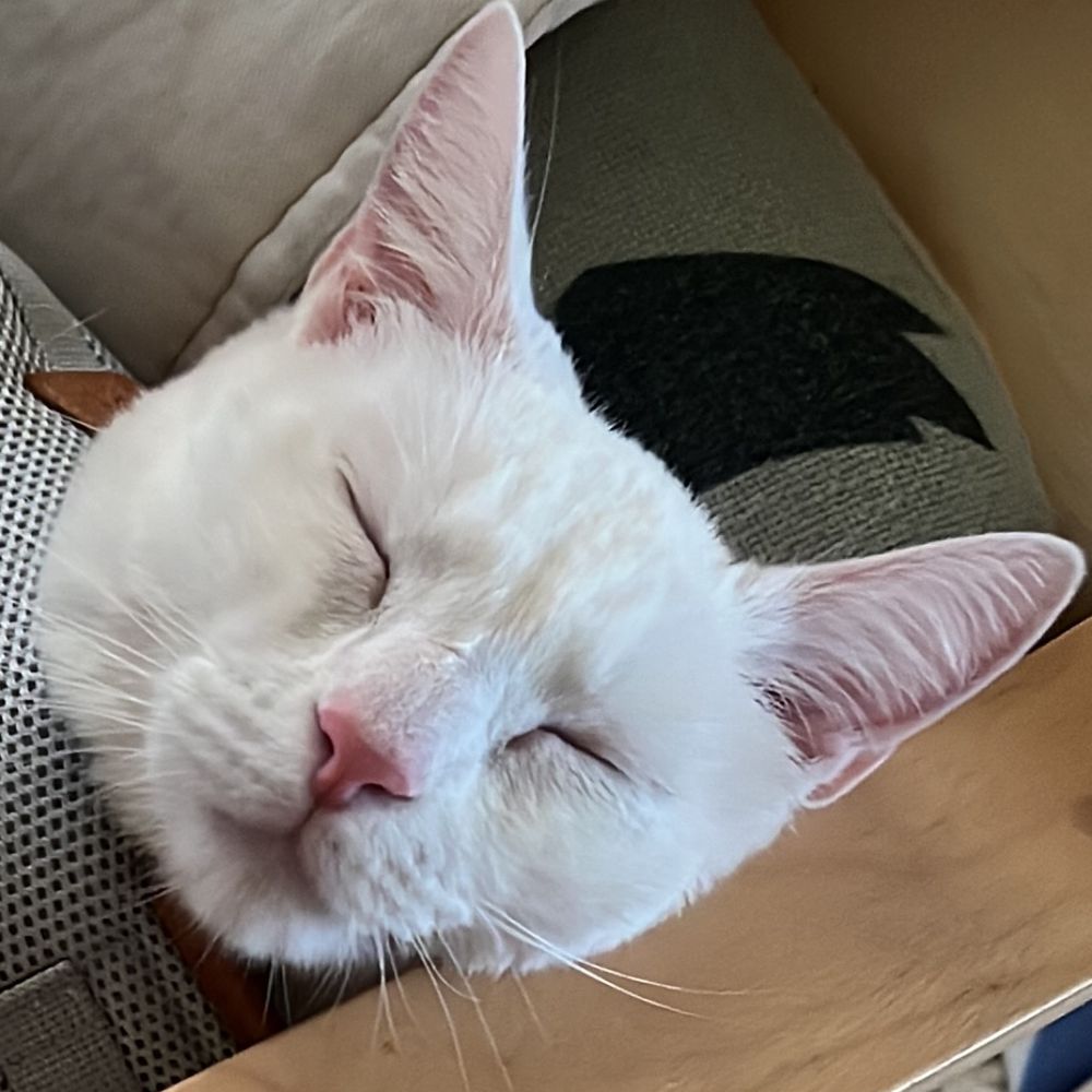 Monicat 