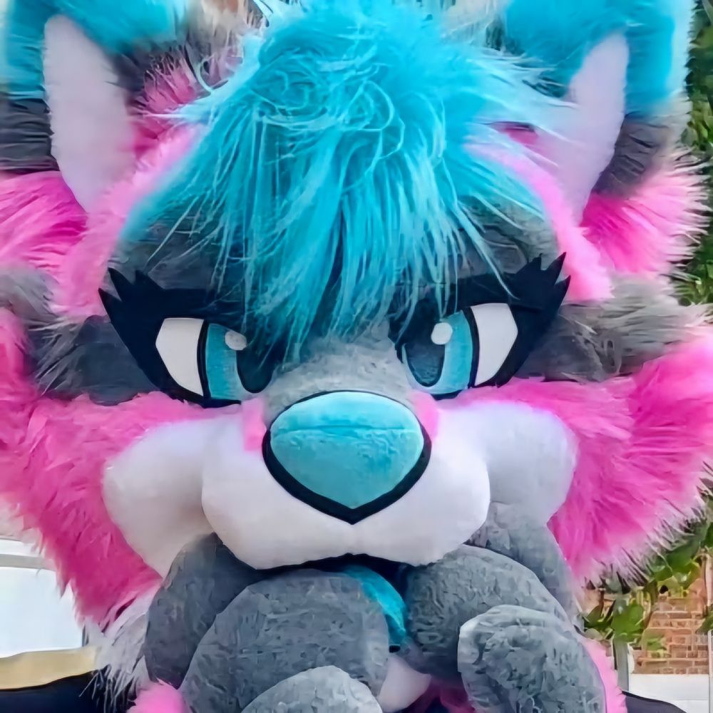 ✨️Kota Foxx 🔜 AC✨️