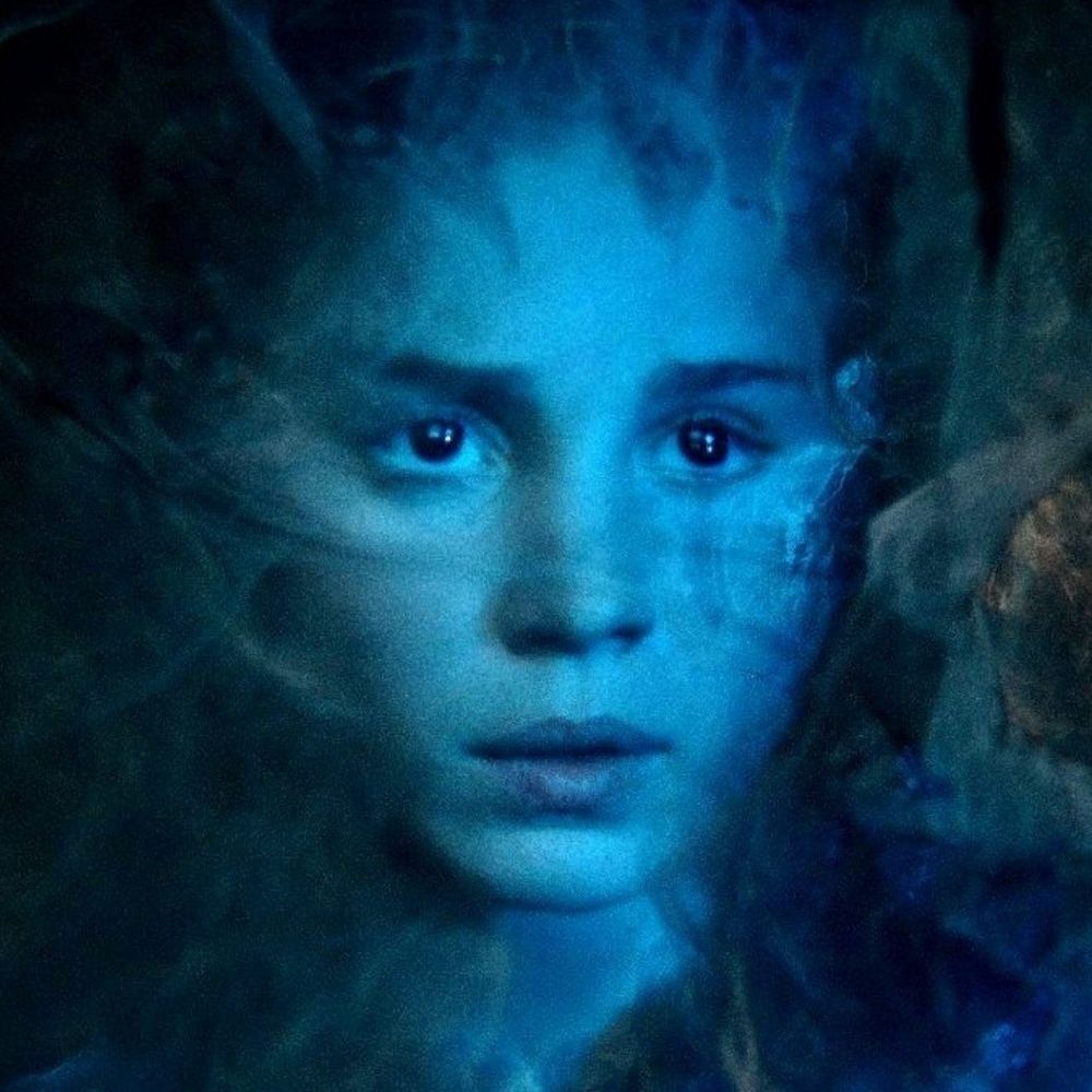 JustAnAverageHuman