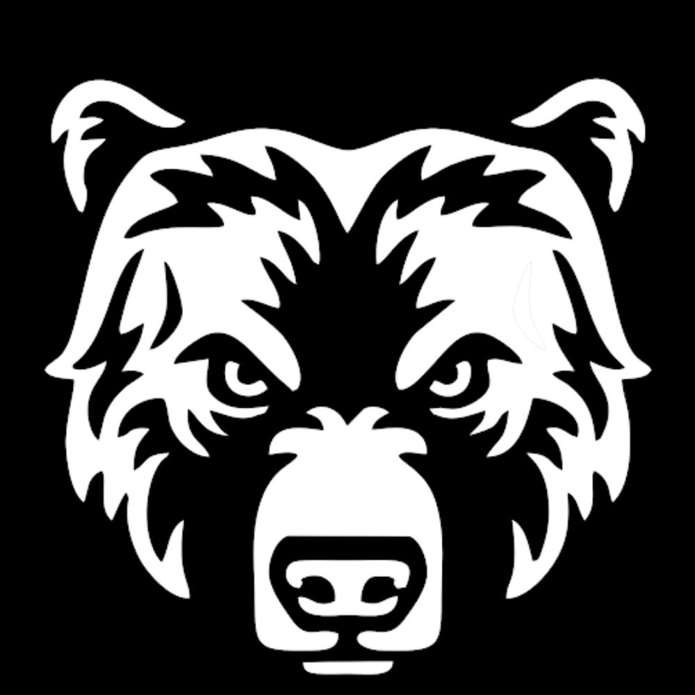 Profile picture i-am-the-bear.bsky.social