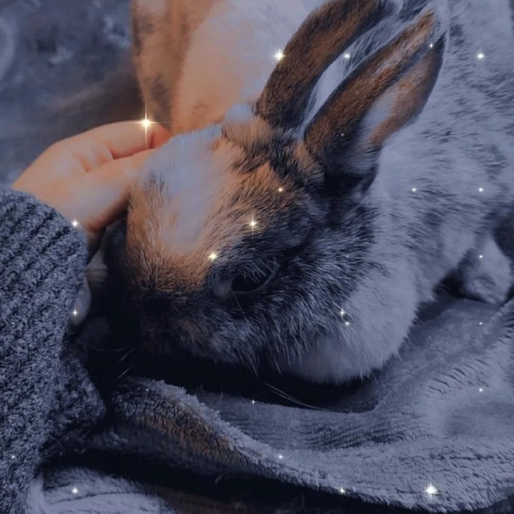𝐿𝓊𝓁𝒾𝓋𝒾𝓉𝒽 🐰