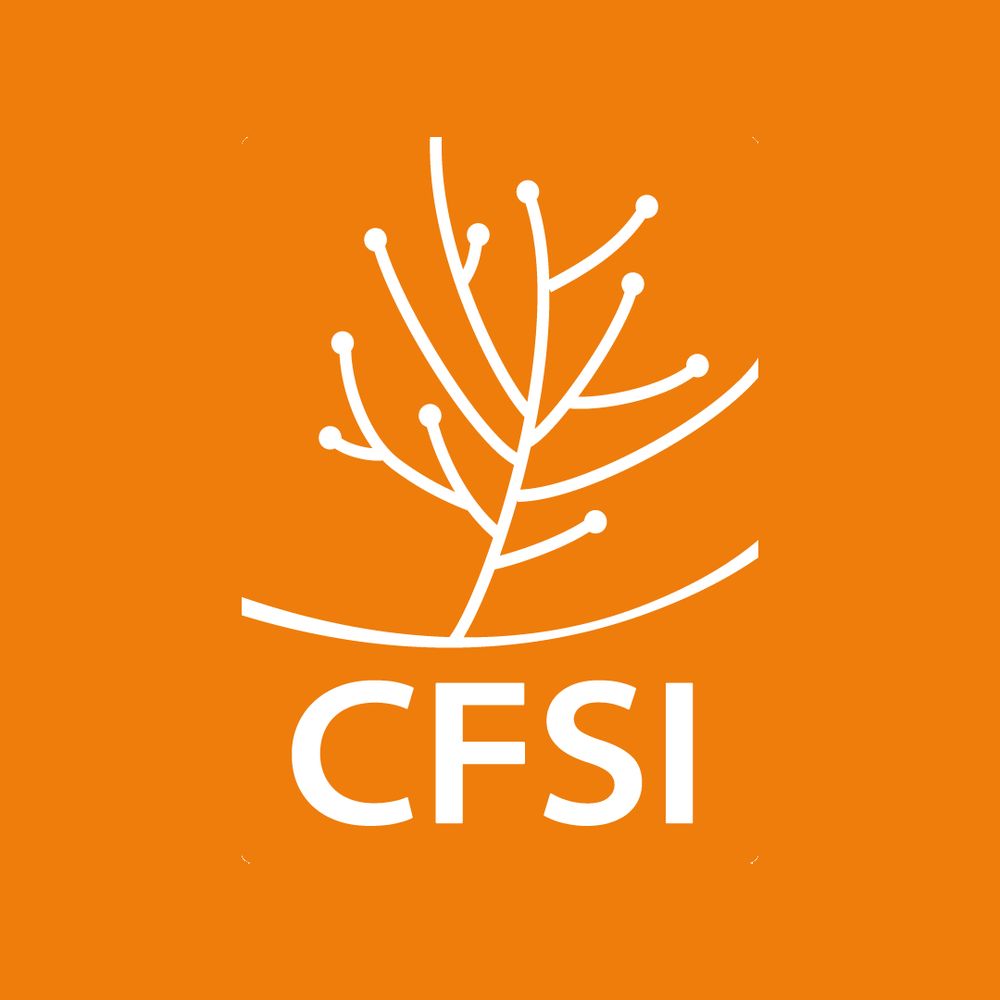 CFSI