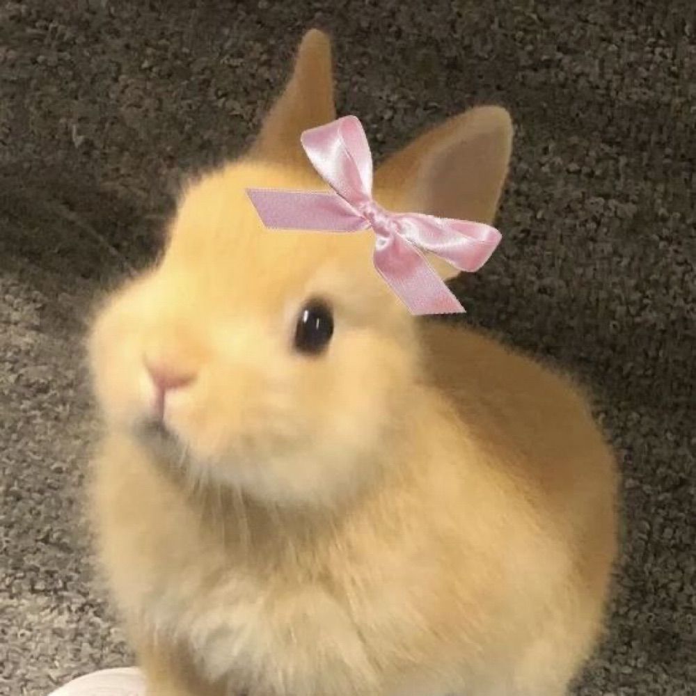 ~mai