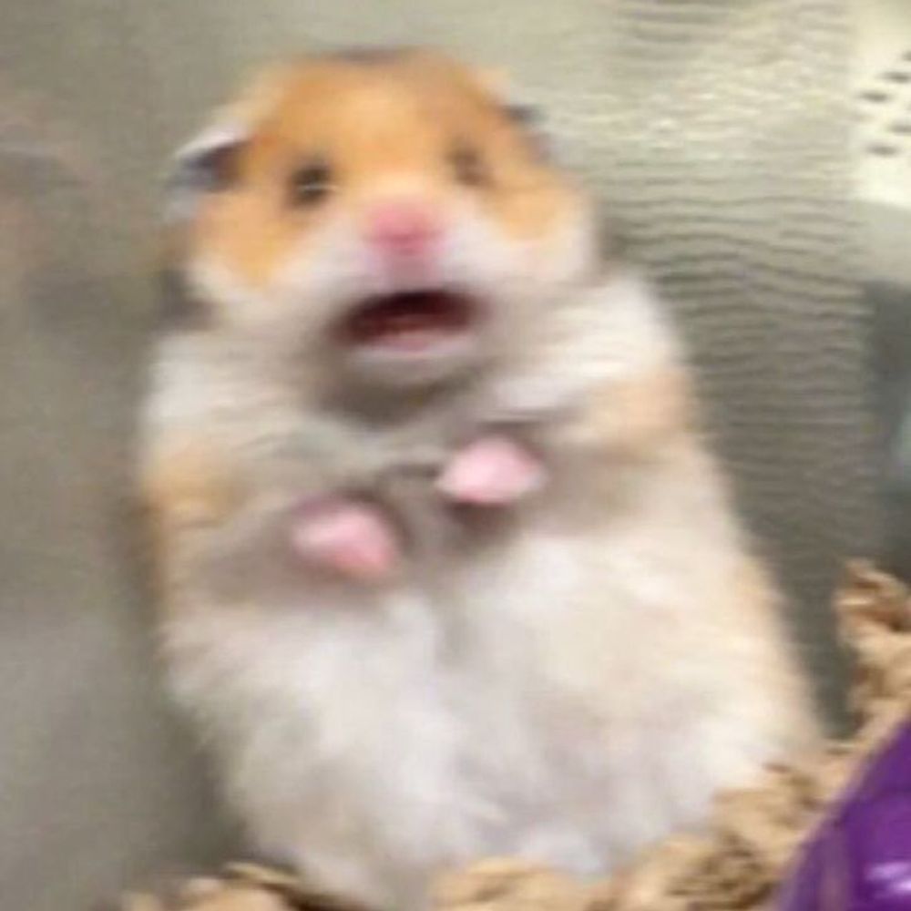 베리