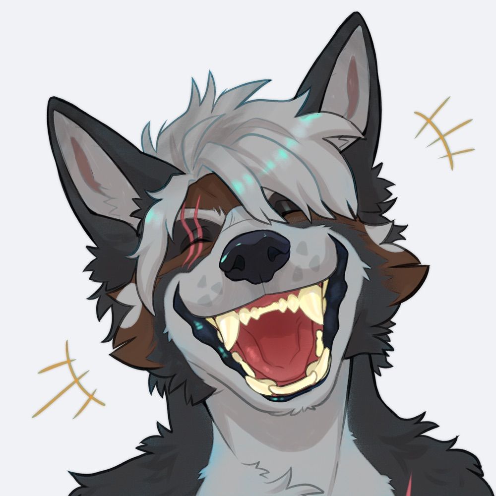 Seb 🔜 furpoc