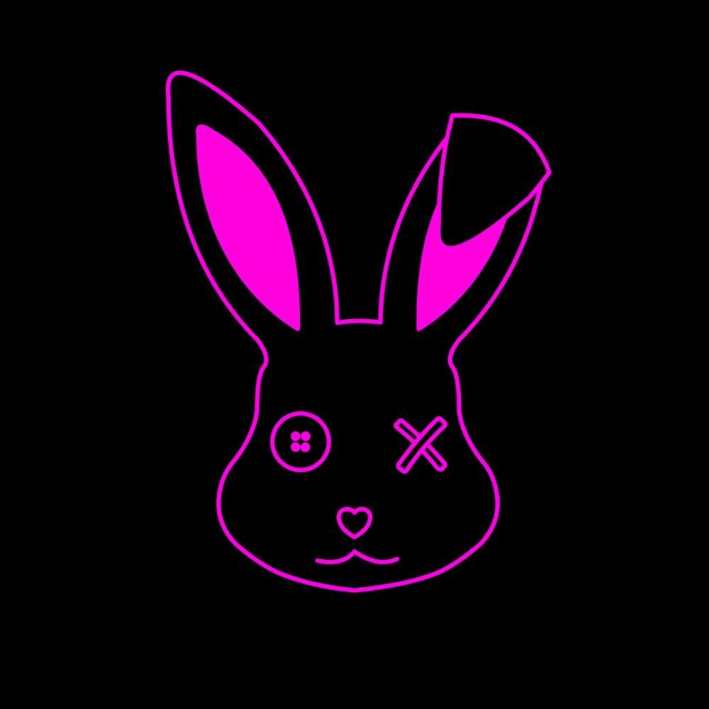 Casket Rabbit 🐰 ⚰️