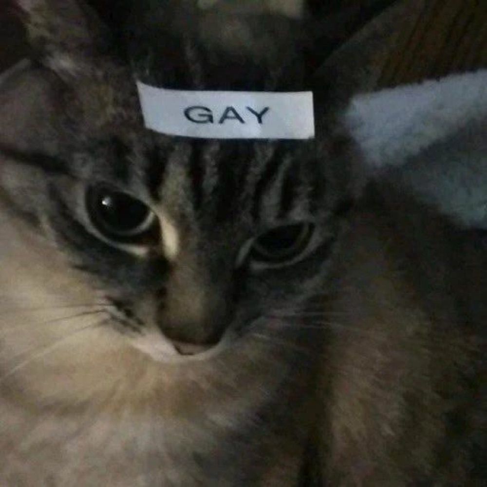 Te