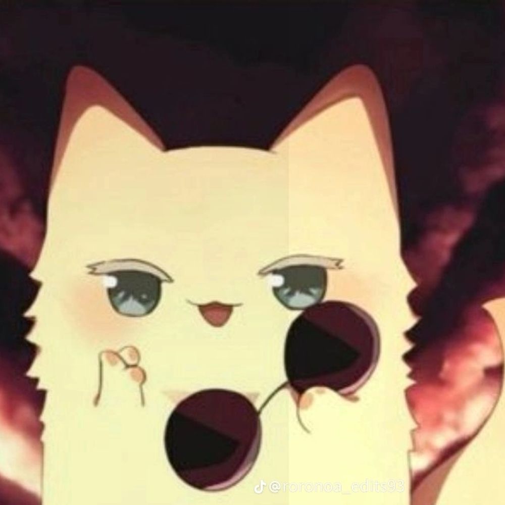 Cat Gojo