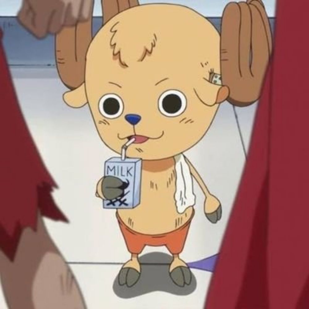 chopper careca