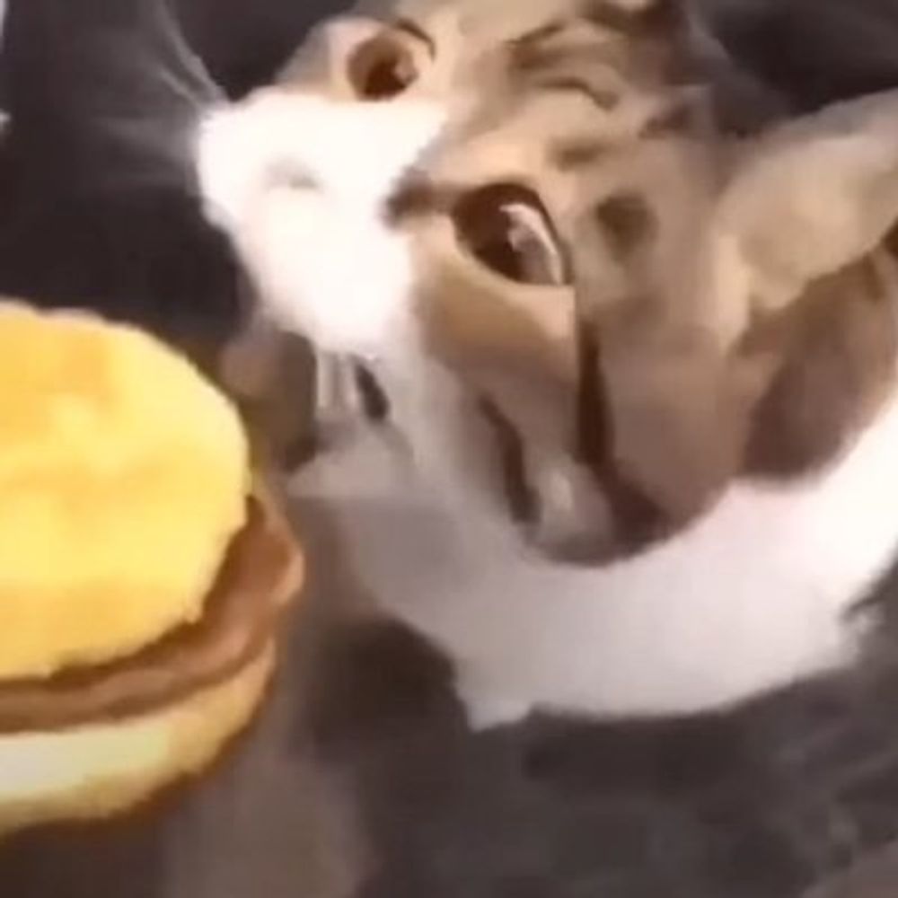 ʌǝ߈o