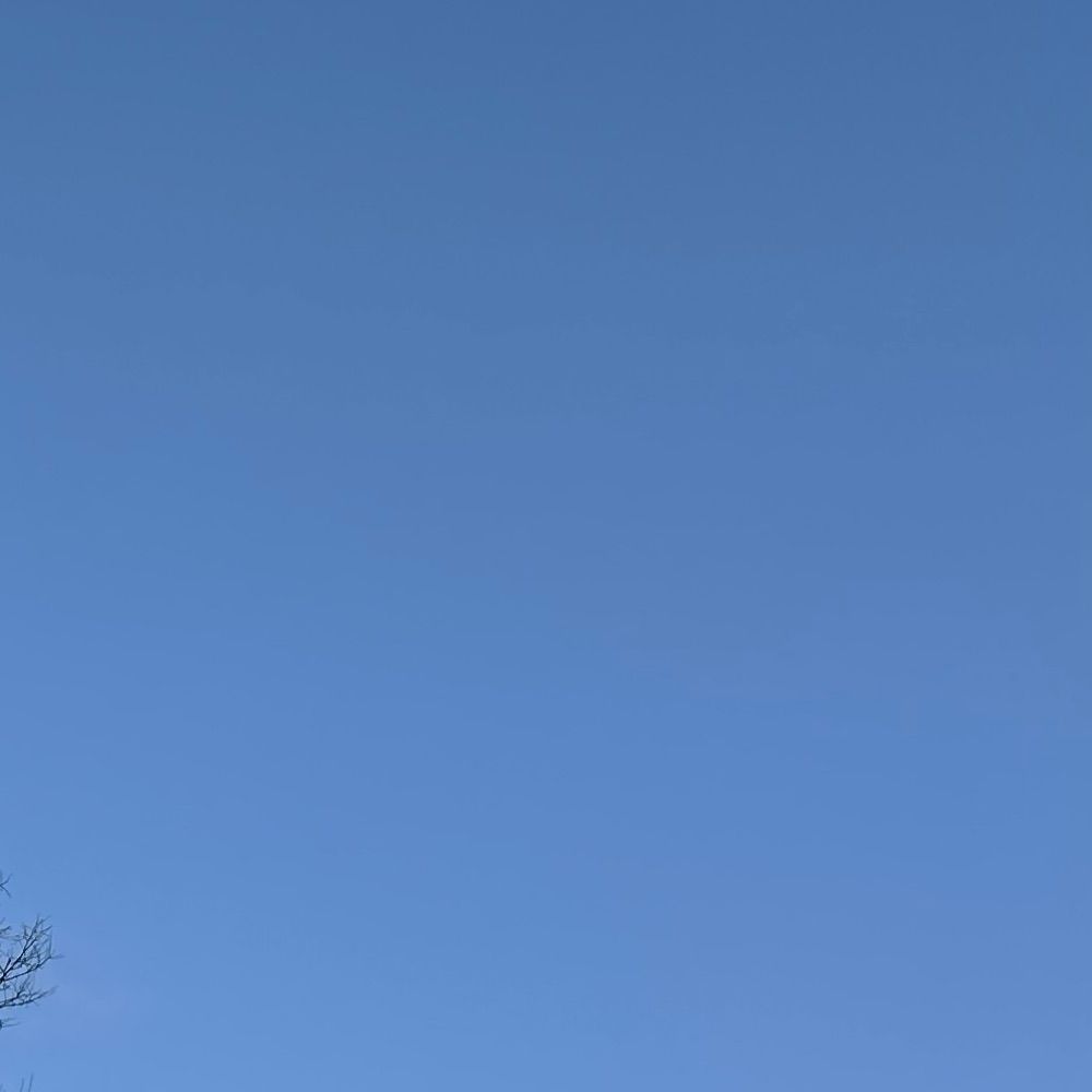 すり