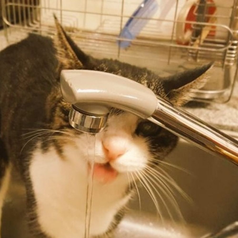 へどろ