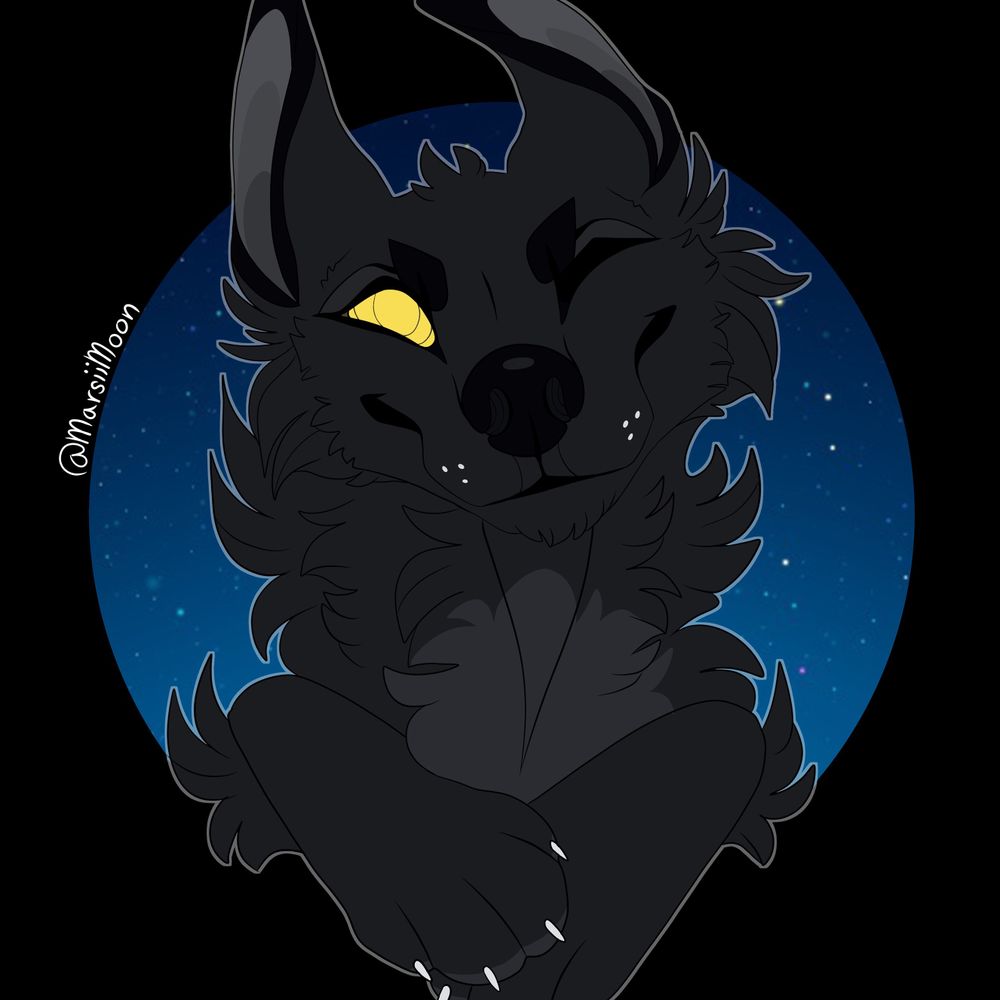 ShadeShyWolf