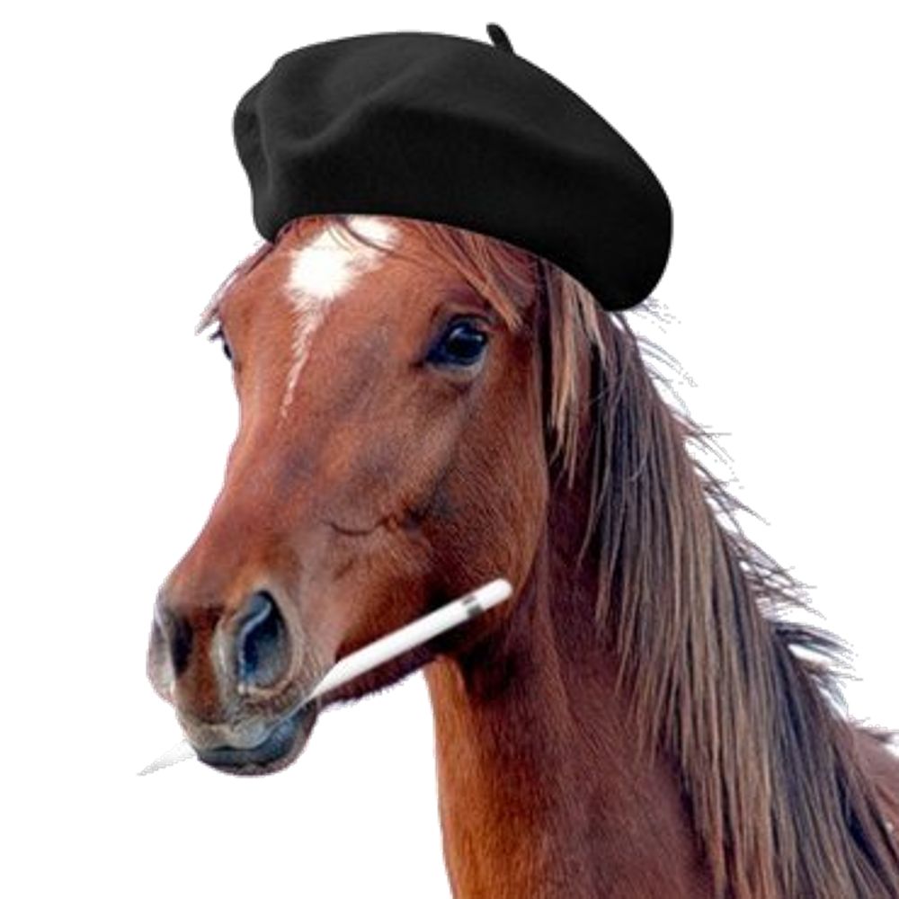Jeff the horse