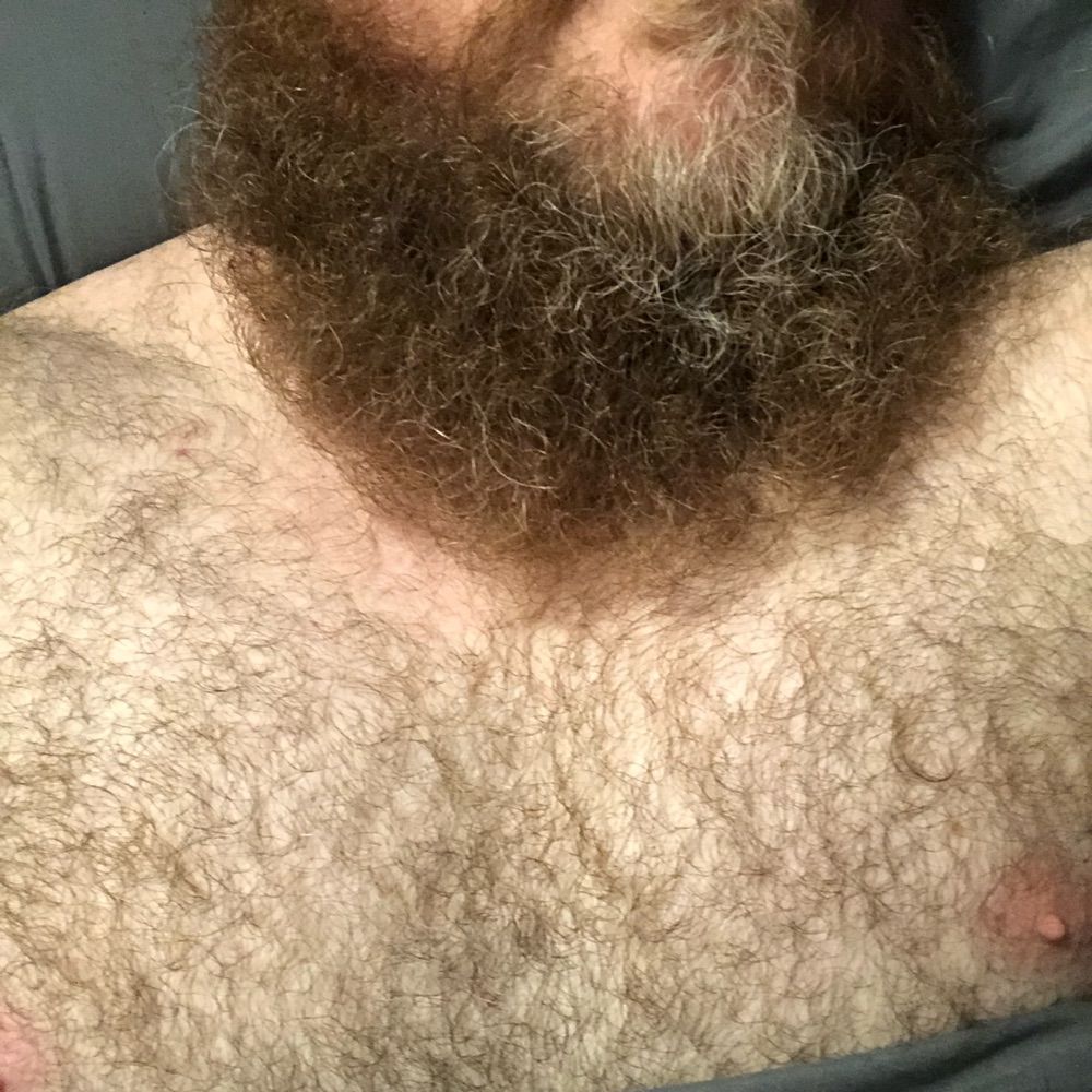 SoFL Bear Guy