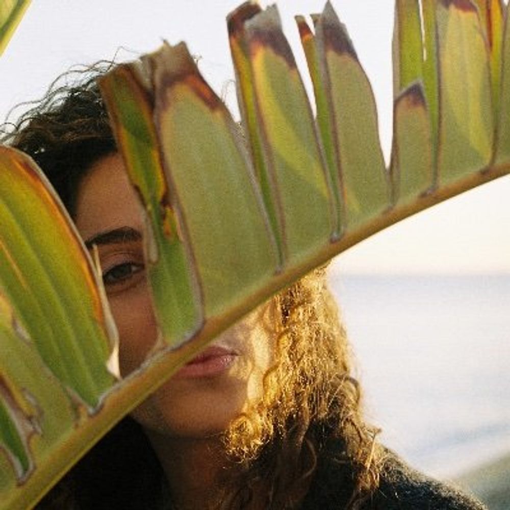 Ludovica Ciampi