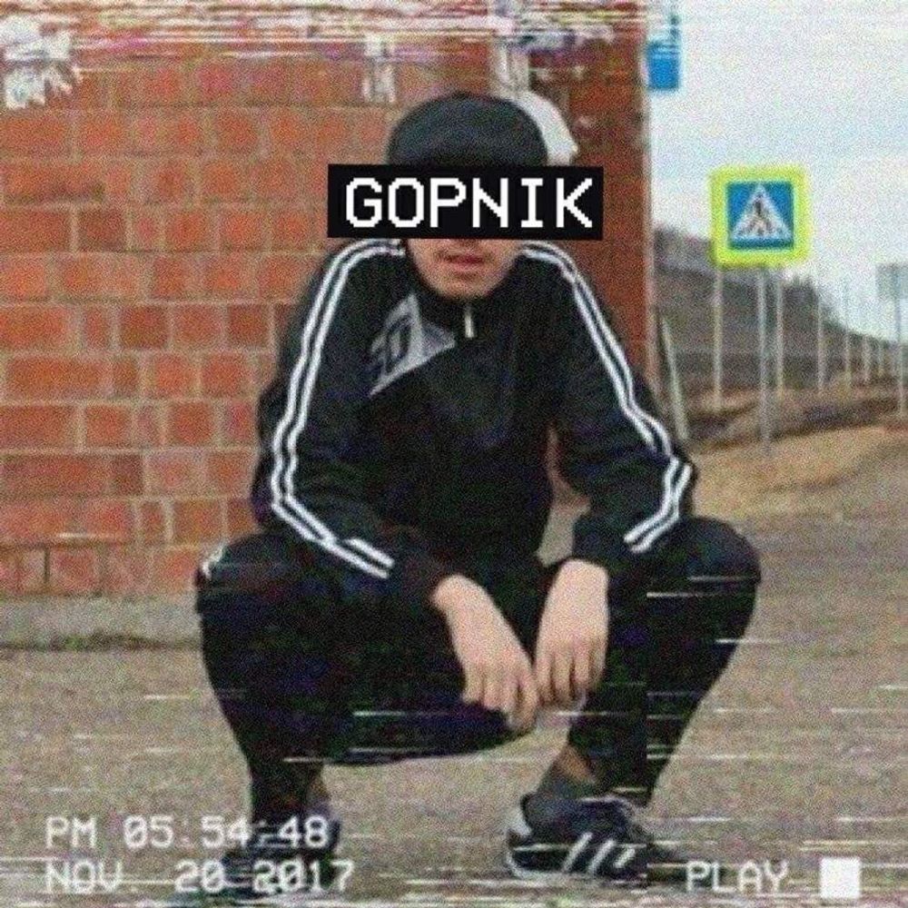 Г.О.П.Н.И.К🥴🏋️🍻