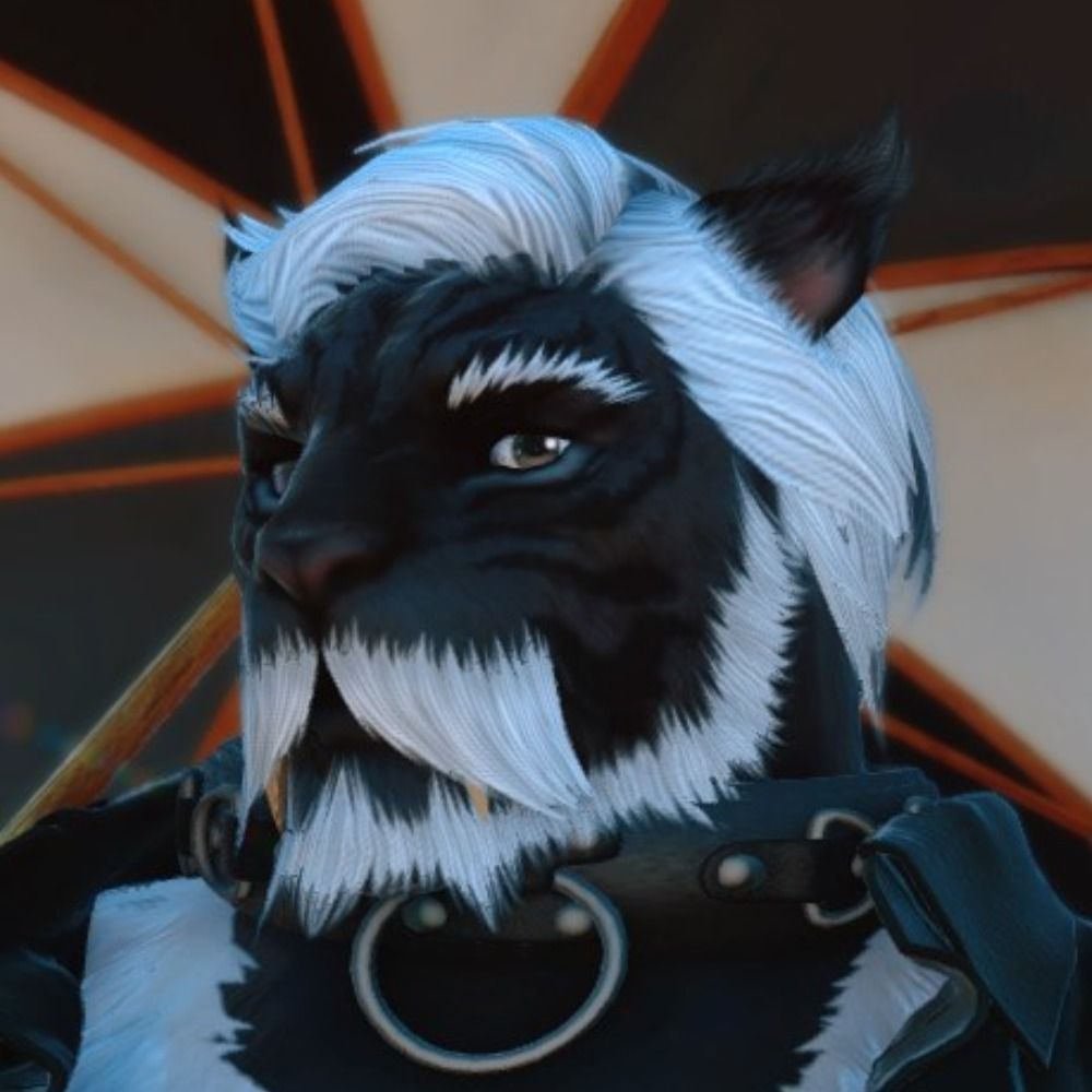 Dmitri The Fat Cat Dad