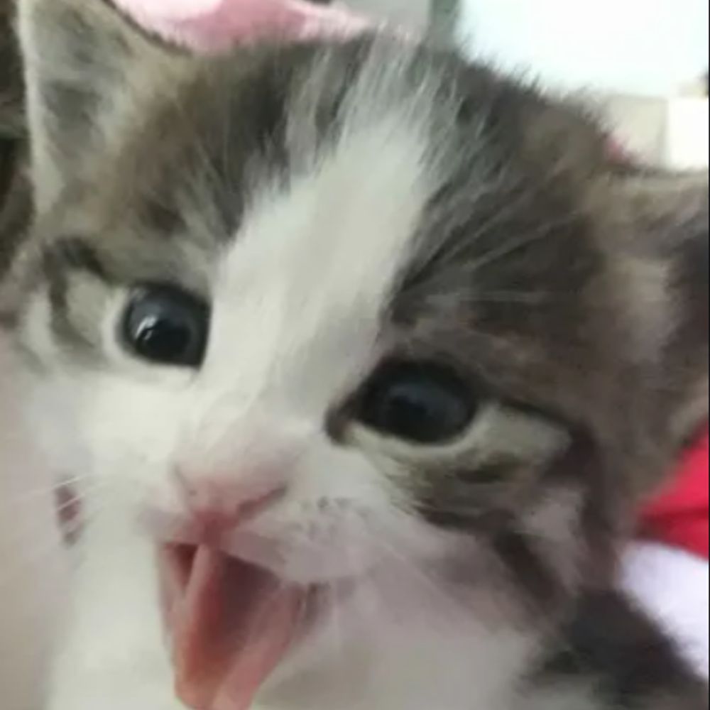 Tarikc