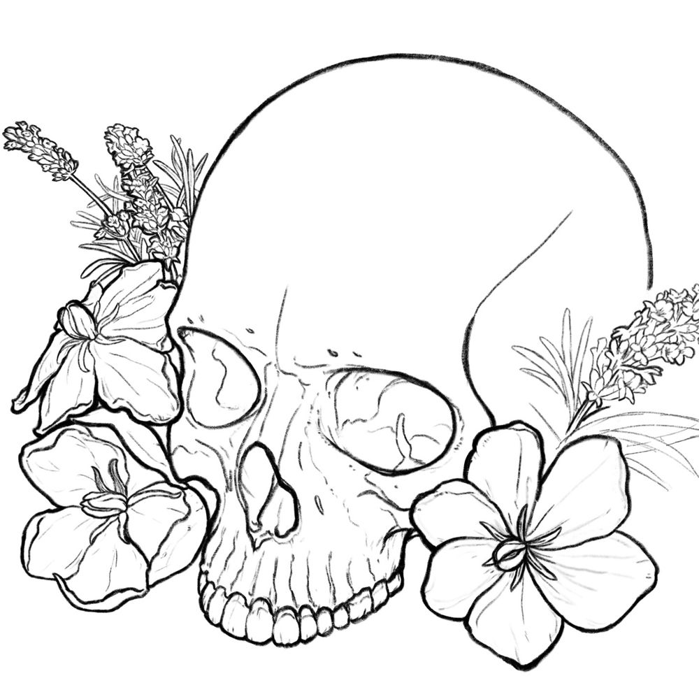 K | Science Nature & Art (and weirdness)