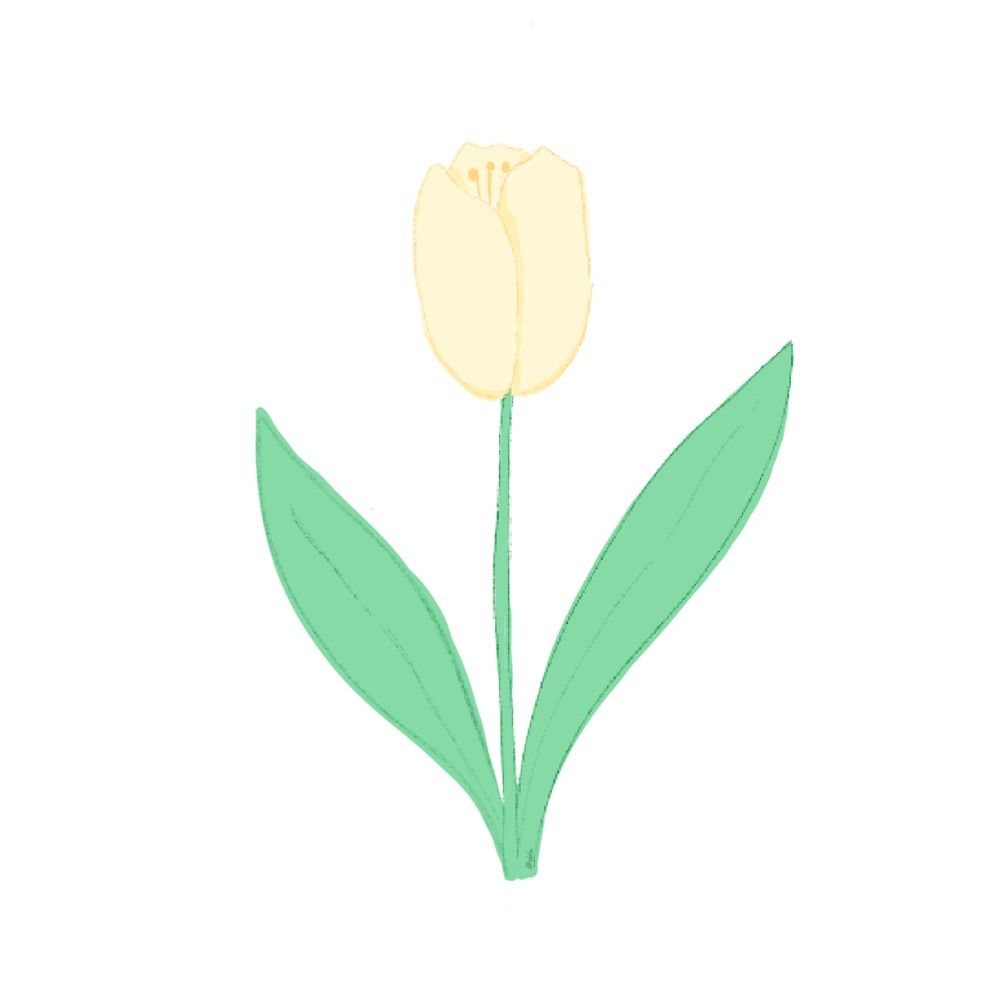 ﾎﾟ