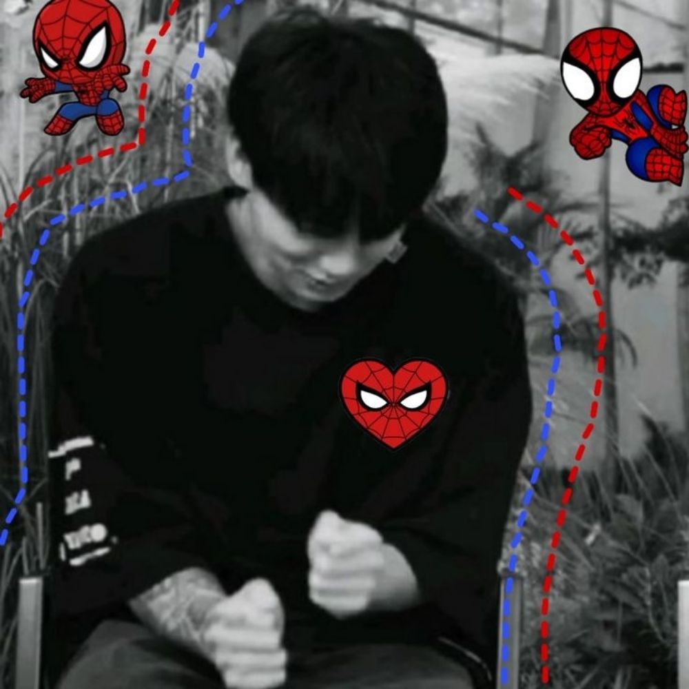 spider nicote
