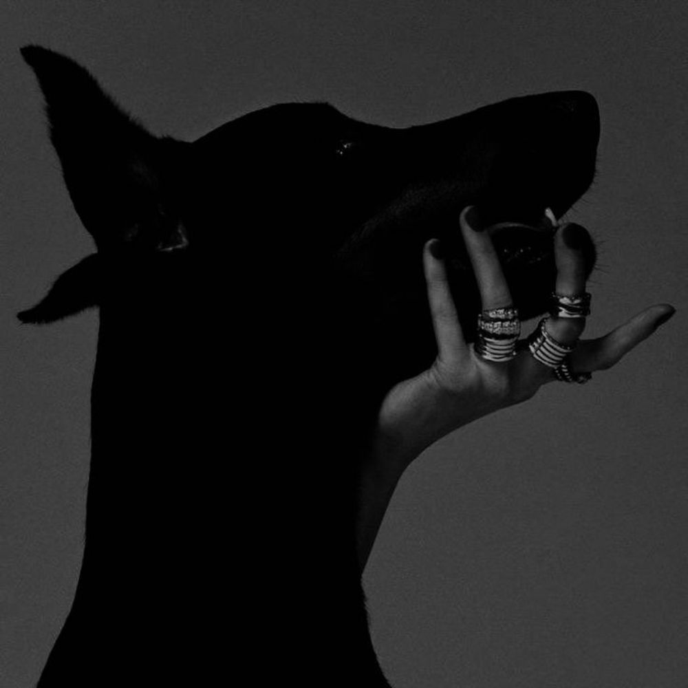 ☽Seraphim☾
