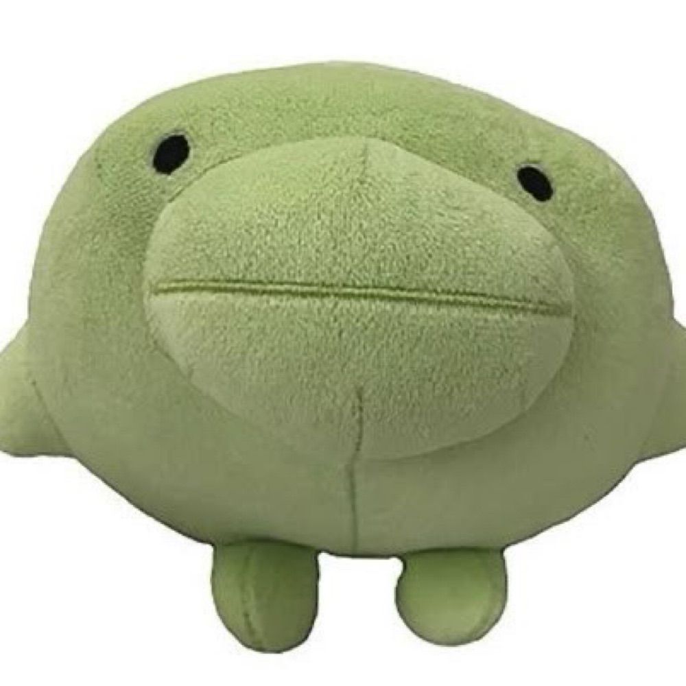 알갱(트루)