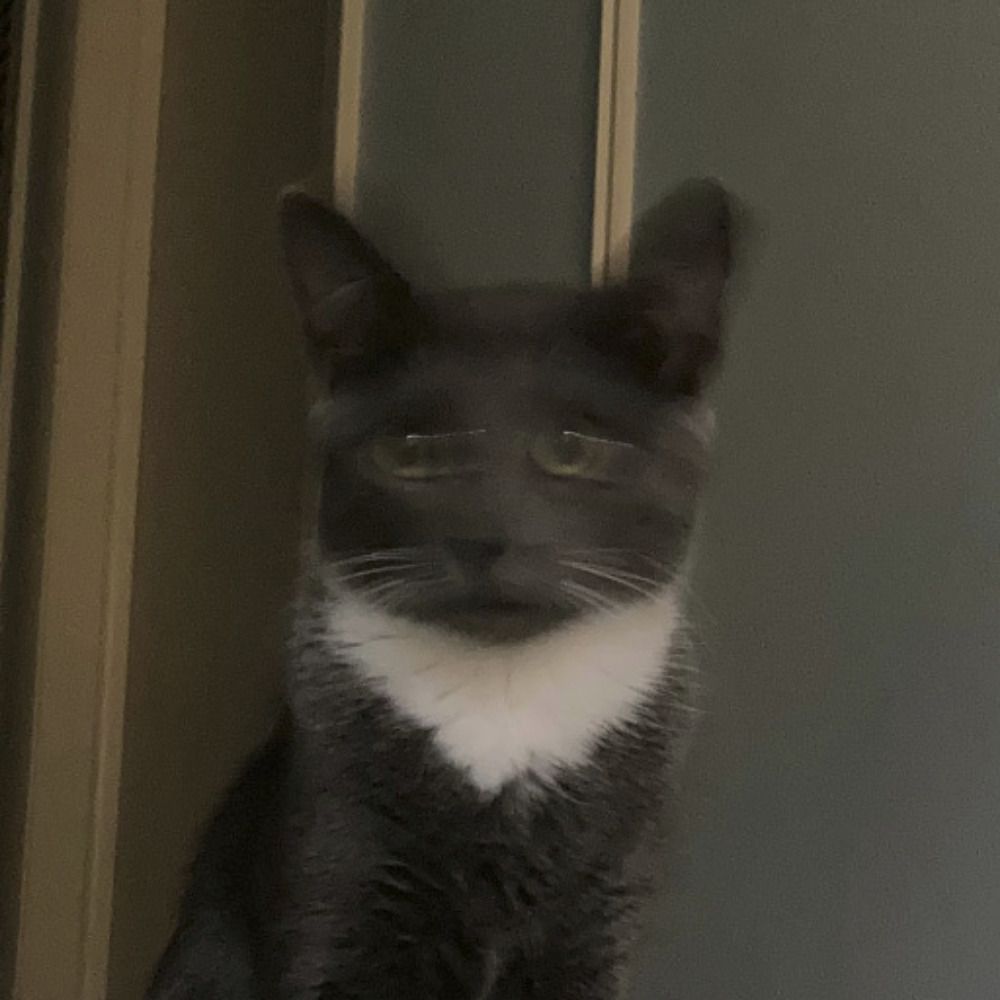 jacob