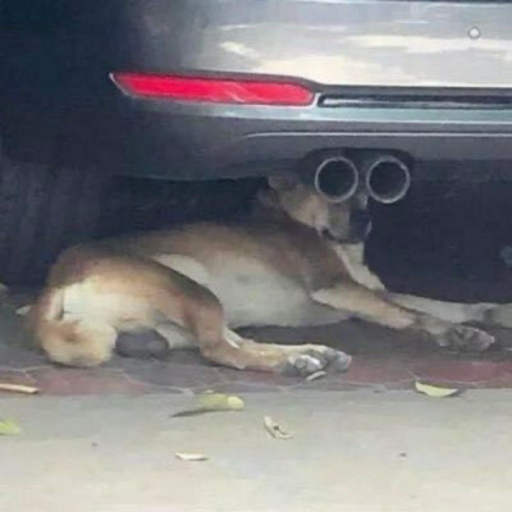 ユイ(ᯅ̈ )⸝‍⋆