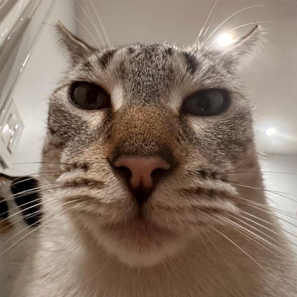Thomas