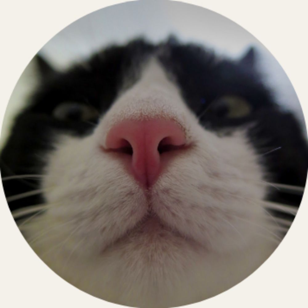 Profile picture catsloverclub.bsky.social